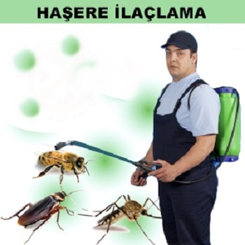 Süloğlu Böcek İlaçlama